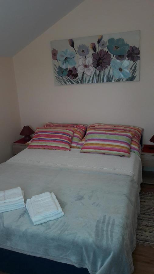 Apartment Ana Gornji Karin Luaran gambar